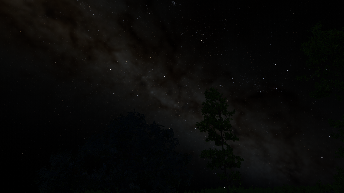 A dense band of stars above the silhouettes of forest trees at night